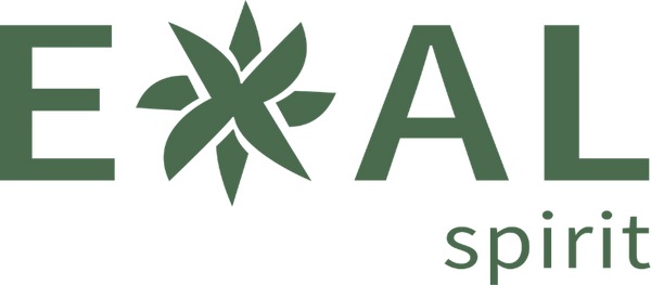 Exal Spirit
